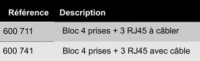 references-bloc-4-prises-3-RJ45-ergologic
