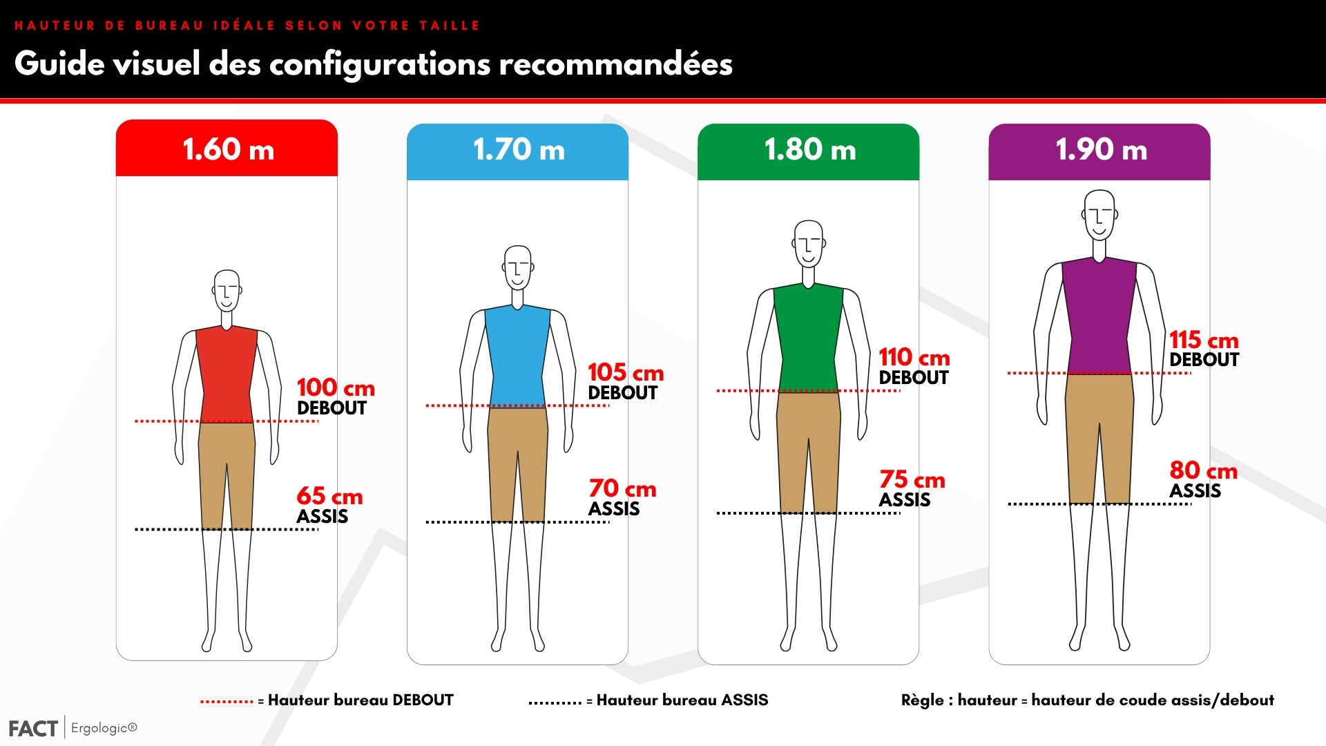 Guide visuel des hauteurs de bureau idéales selon la taille : 1m60, 1m70, 1m80, 1m90 en position assise et debout
