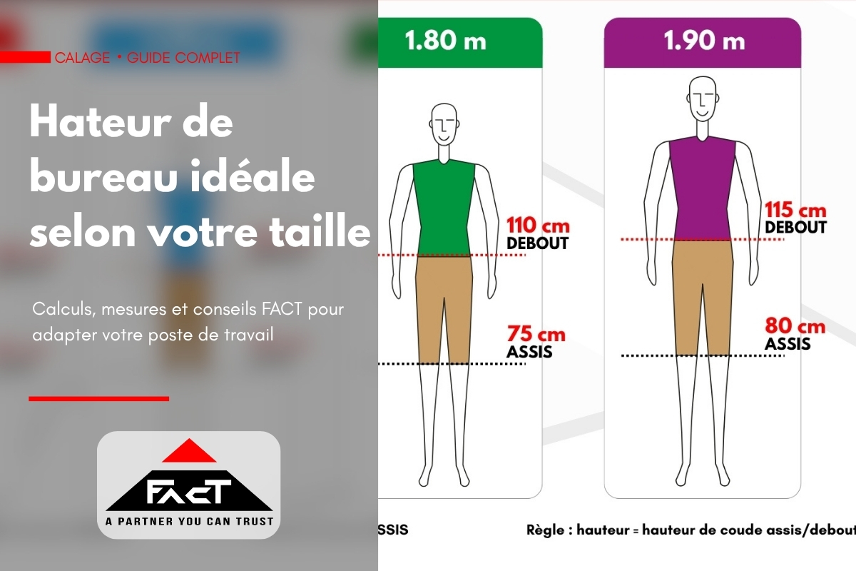 Hauteur de bureau idéale selon votre taille : guide complet