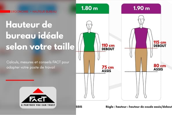 Hauteur de bureau idéale selon votre taille : guide complet
